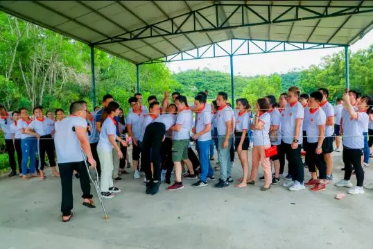 第一届第四次会员代表大会暨2019秋季线下交流会圆满结束