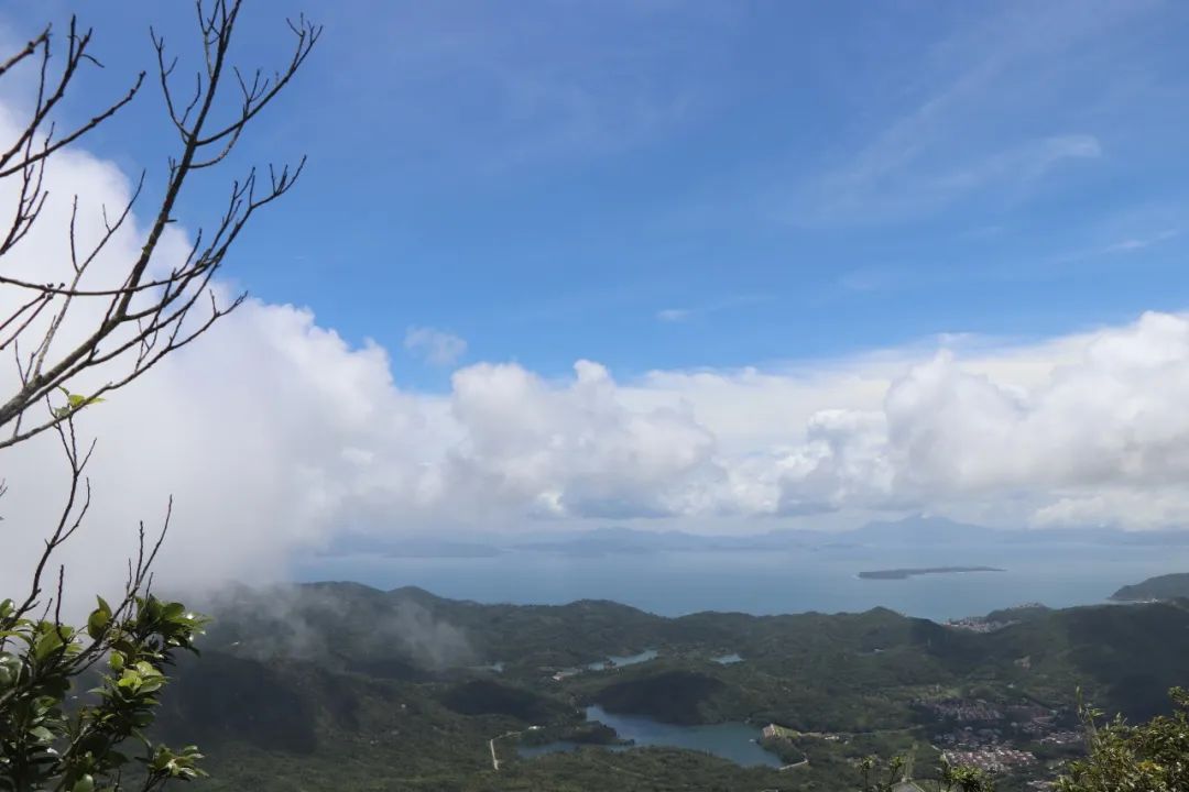 协会团建 | 深圳市财税服务行业协会阳光之行户外活动