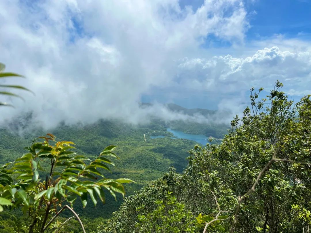 协会团建 | 深圳市财税服务行业协会阳光之行户外活动