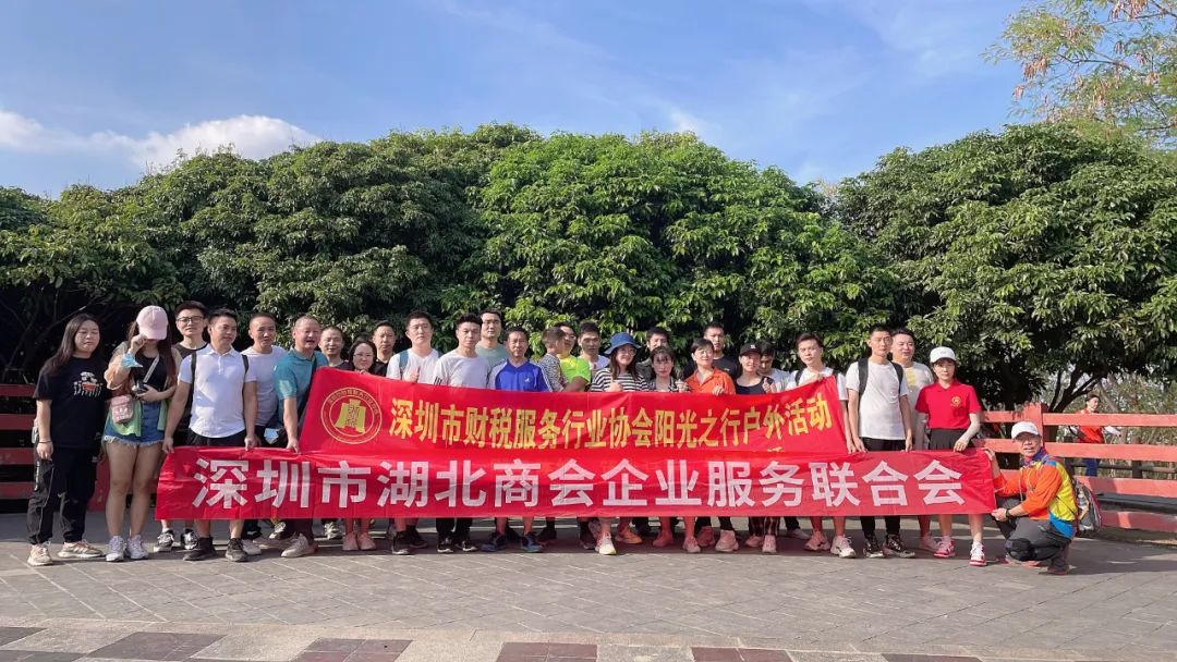 年终总结 | 深圳市财税服务行业协会2022年度工作报告