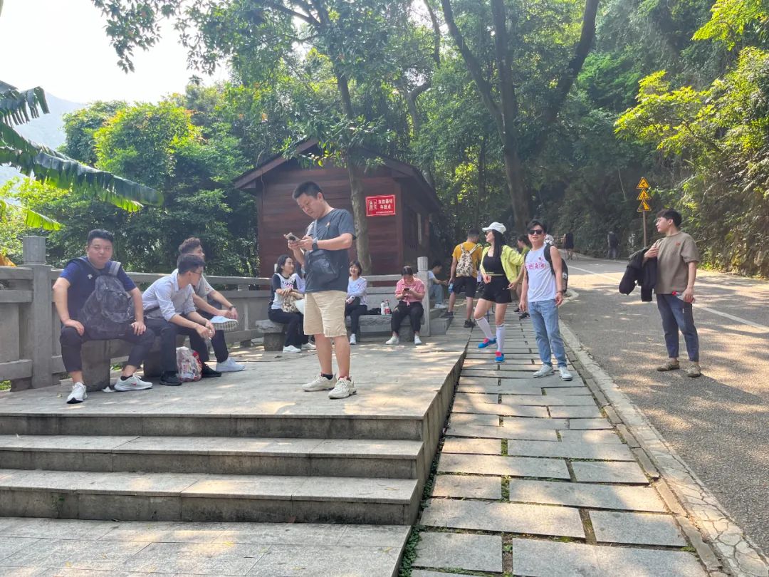 协会团建 | 阳光之行梧桐山徒步活动