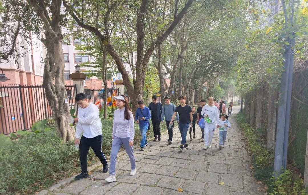 协会团建 | 阳光之行梅林绿道徒步活动