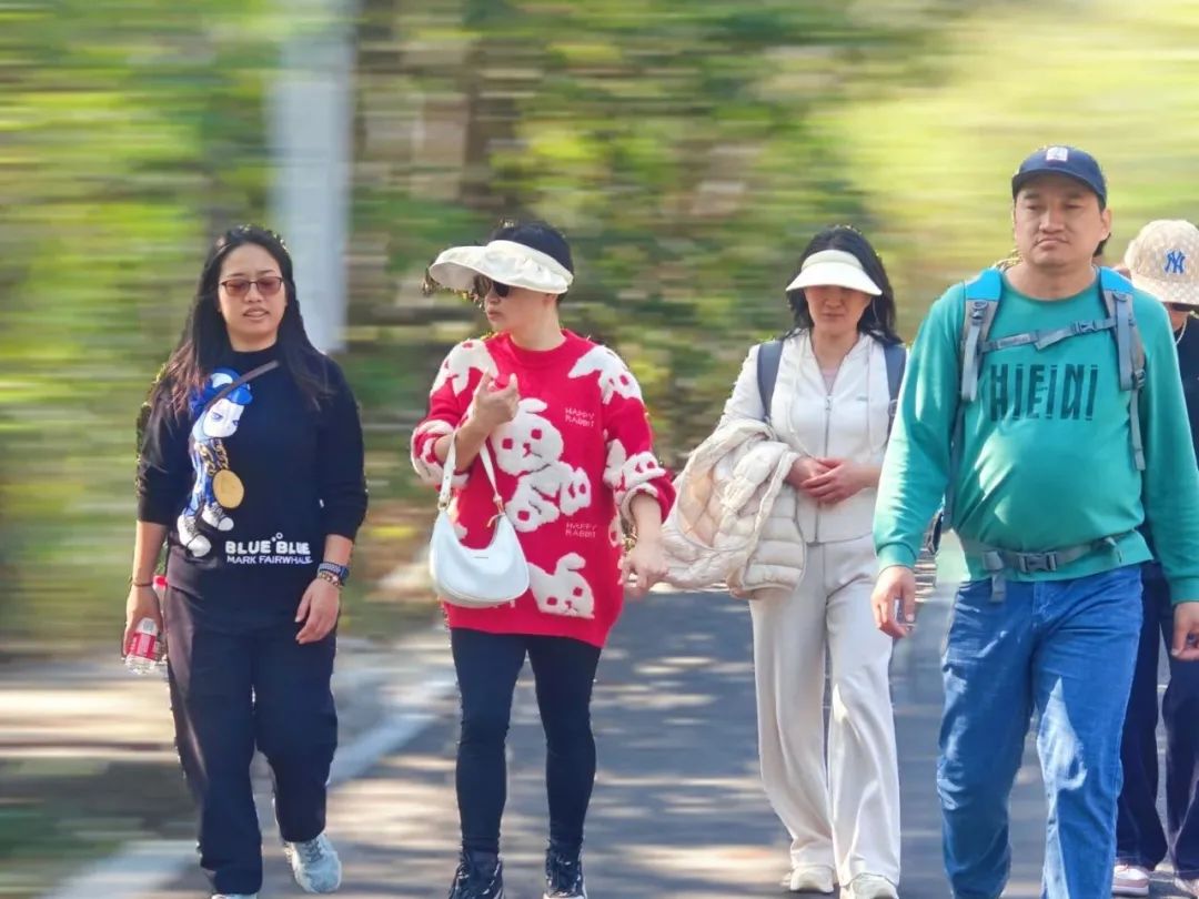 协会活动 | 望海寻梅，马峦山郊野公园游活动——锻炼体魄、快乐行走、健康生活