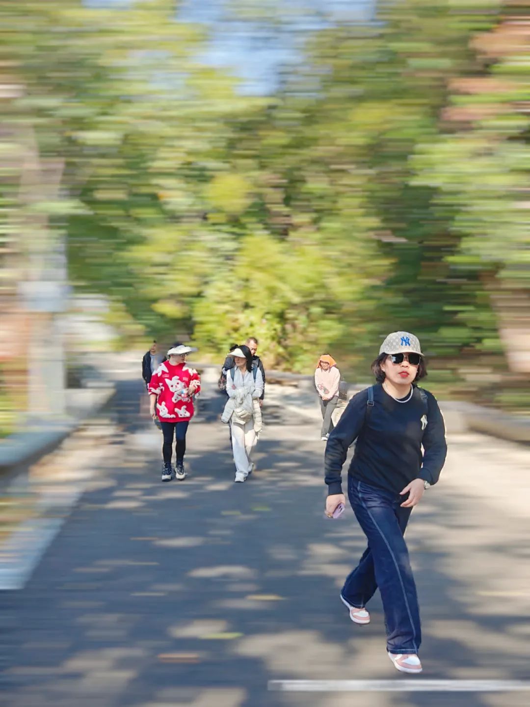 协会活动 | 望海寻梅，马峦山郊野公园游活动——锻炼体魄、快乐行走、健康生活