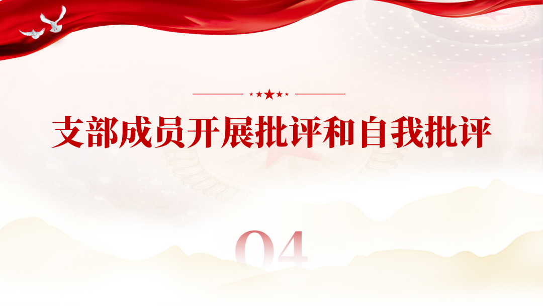 协会党建 | 深圳市财税服务行业协会党支部组织生活会暨民主评议党员大会顺利召开