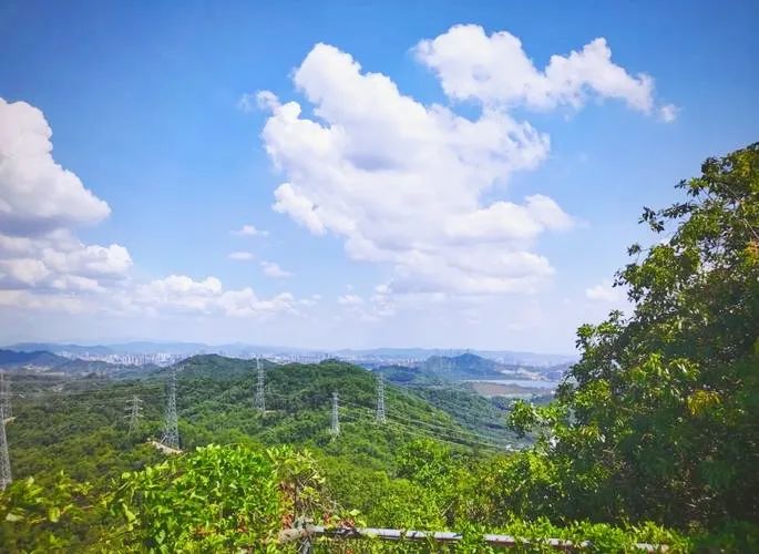 协会活动 | “春峦拾趣・步履生晖”凤凰山徒步活动——锻炼体魄、快乐行走、健康生活