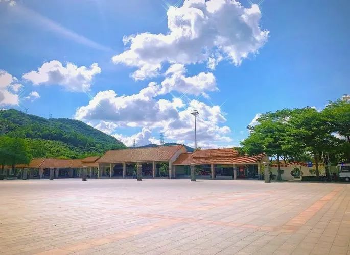 协会活动 | “春峦拾趣・步履生晖”凤凰山徒步活动——锻炼体魄、快乐行走、健康生活