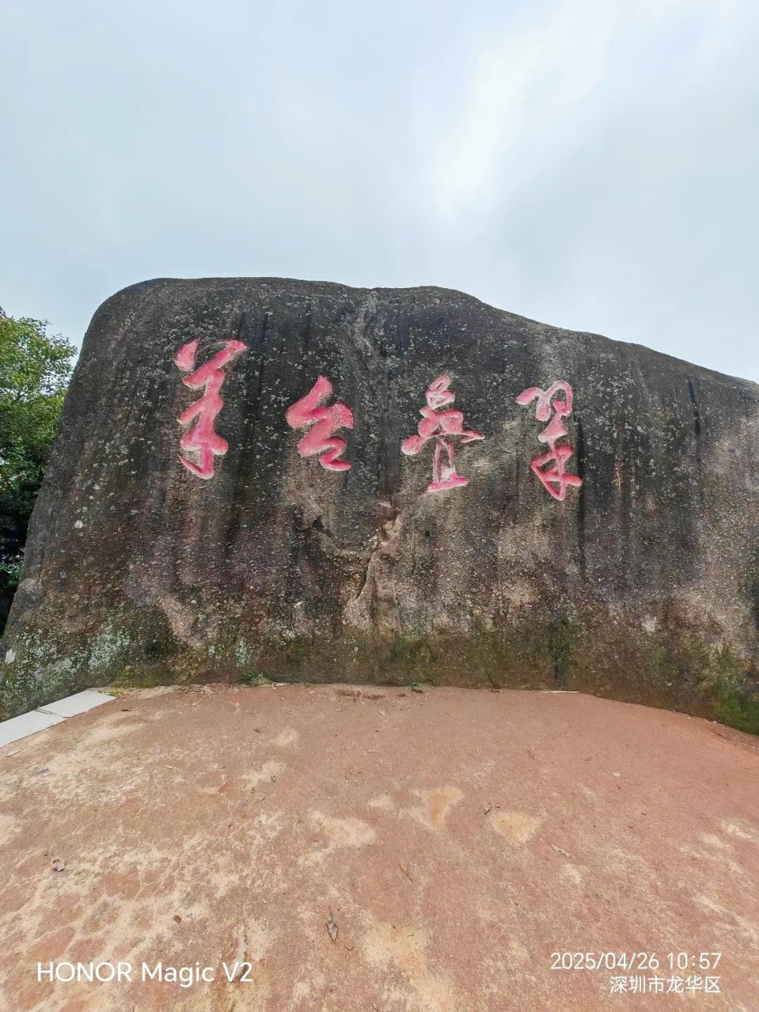 协会活动 | 【财税攀登者·共赴阳台之巅】 | 以脚步丈量春意，用汗水致敬初心