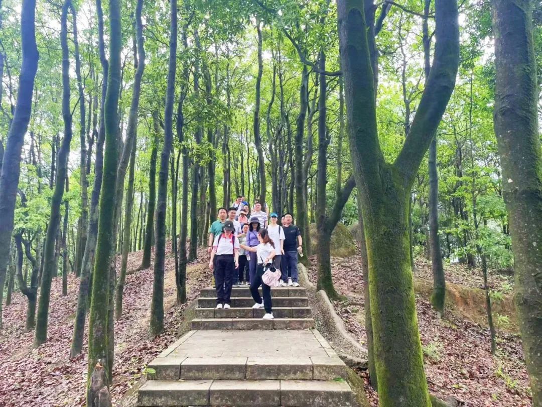 协会活动 | 【财税攀登者·共赴阳台之巅】 | 以脚步丈量春意，用汗水致敬初心