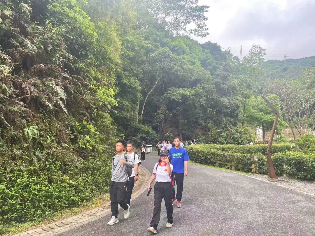 协会活动 | 【财税攀登者·共赴阳台之巅】 | 以脚步丈量春意，用汗水致敬初心