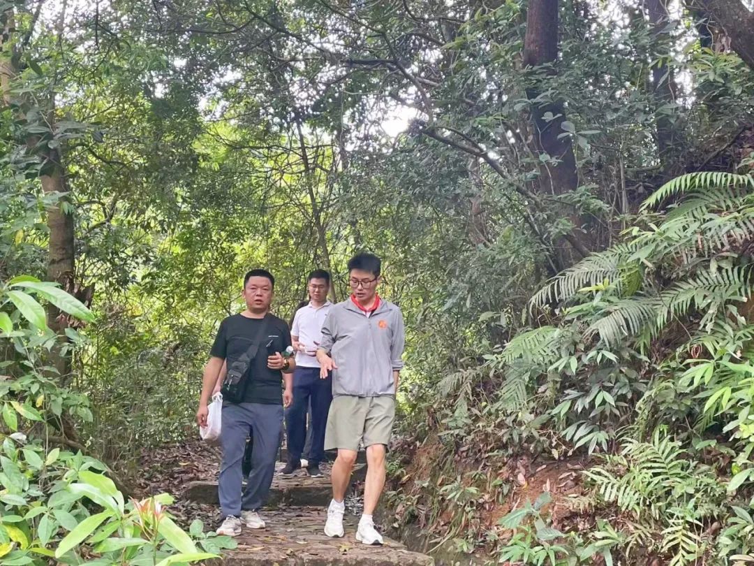 协会活动 | 【财税攀登者·共赴阳台之巅】 | 以脚步丈量春意，用汗水致敬初心