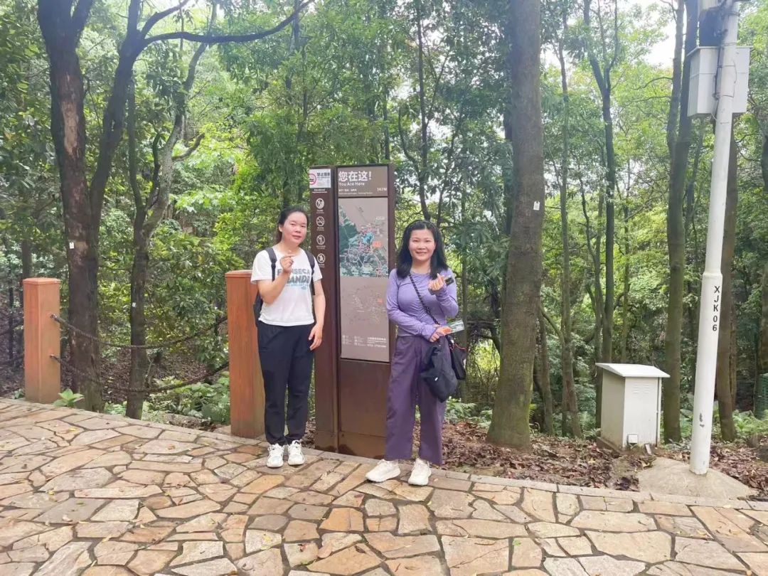 协会活动 | 【财税攀登者·共赴阳台之巅】 | 以脚步丈量春意，用汗水致敬初心