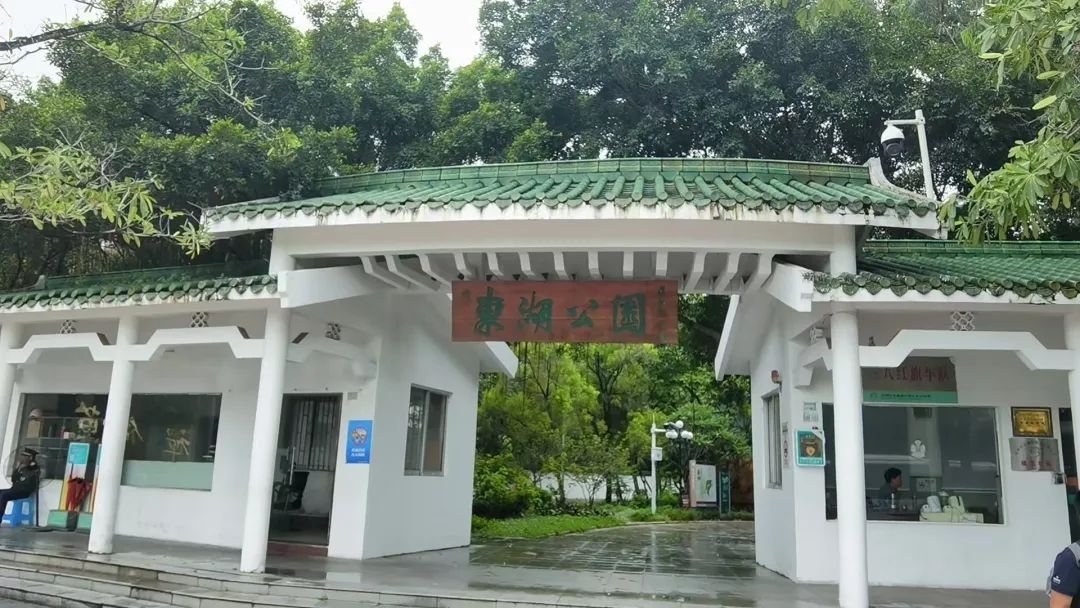 协会活动 | 芒种健步绘同心 湖山税月共徜徉