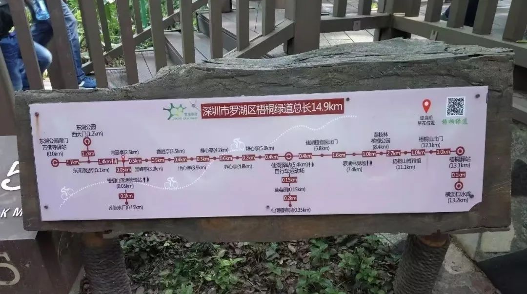 协会活动 | 芒种健步绘同心 湖山税月共徜徉