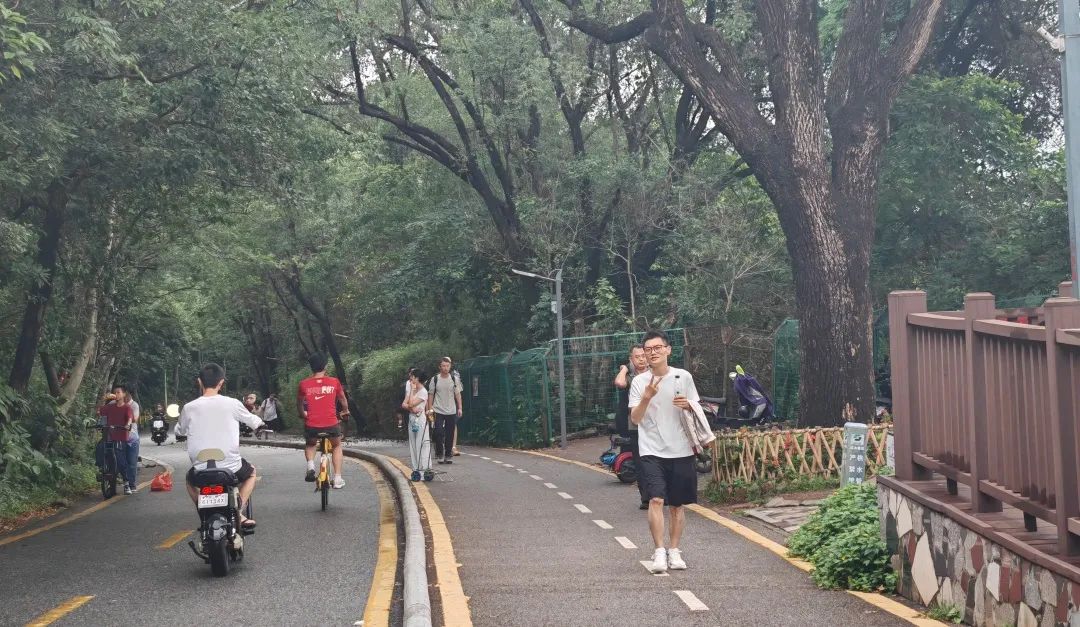 协会活动 | 芒种健步绘同心 湖山税月共徜徉