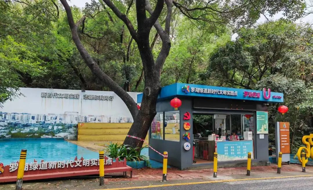 协会活动 | 芒种健步绘同心 湖山税月共徜徉