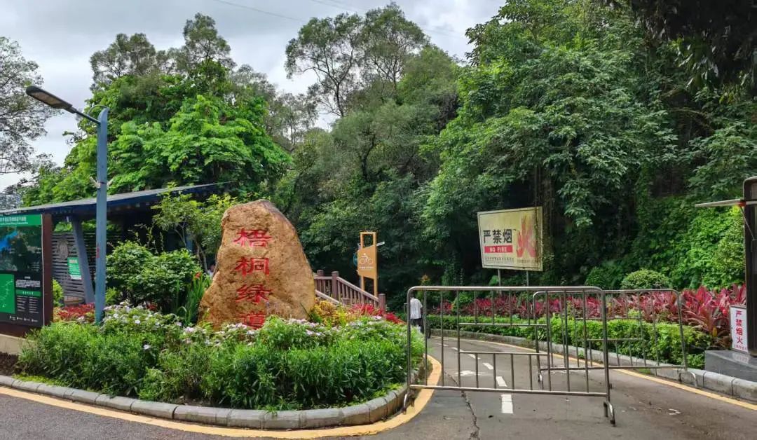 协会活动 | 芒种健步绘同心 湖山税月共徜徉