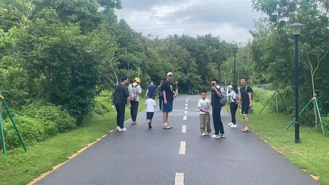 协会活动 | 芒种健步绘同心 湖山税月共徜徉