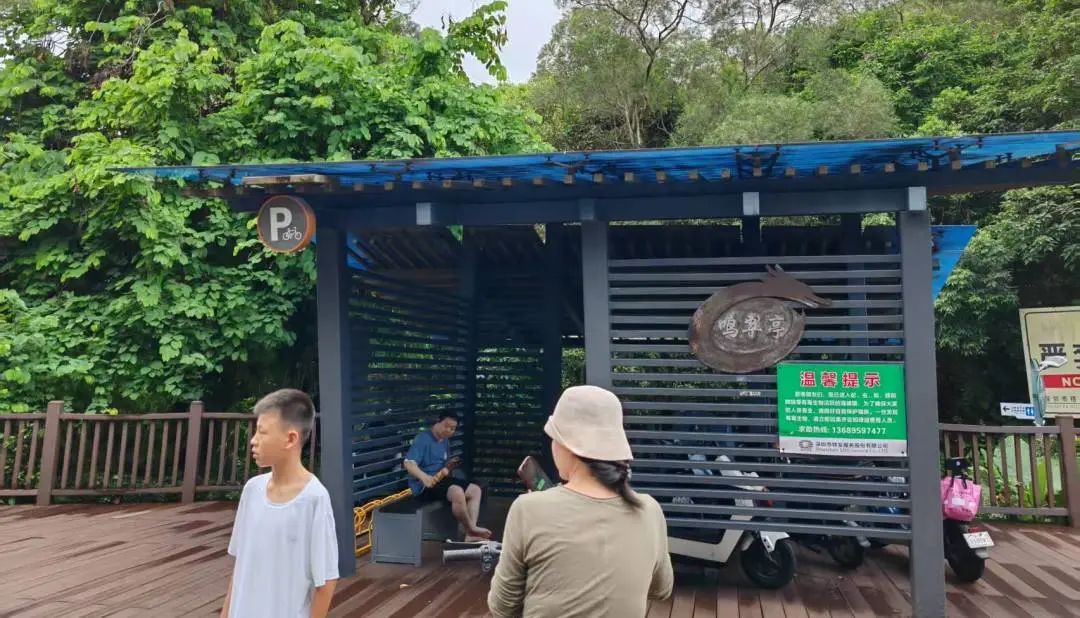 协会活动 | 芒种健步绘同心 湖山税月共徜徉