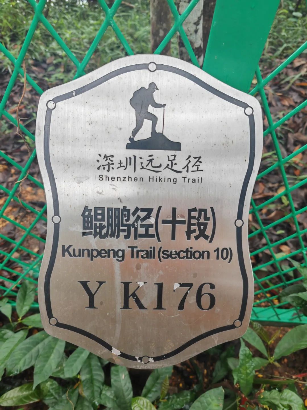 协会活动 | 芒种健步绘同心 湖山税月共徜徉