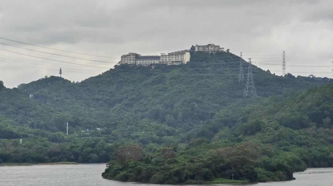 协会活动 | 芒种健步绘同心 湖山税月共徜徉