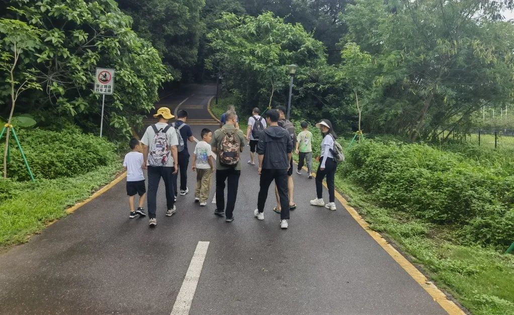 协会活动 | 芒种健步绘同心 湖山税月共徜徉