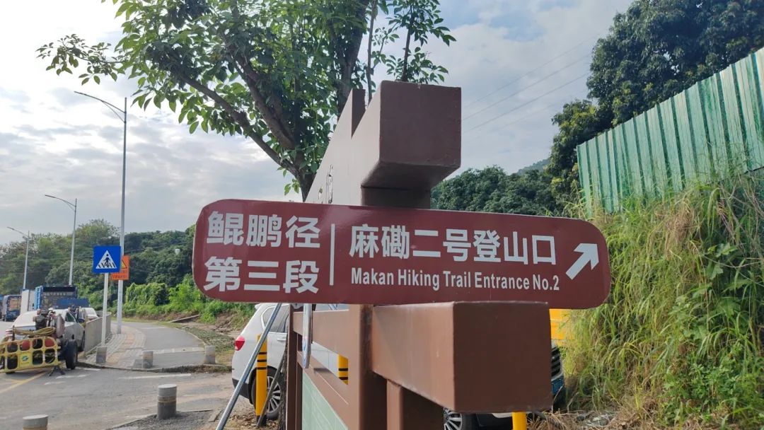 协会活动 | 湖光叠翠绘心迹，步履同行聚真情——记协会西丽湖绿道徒步之旅