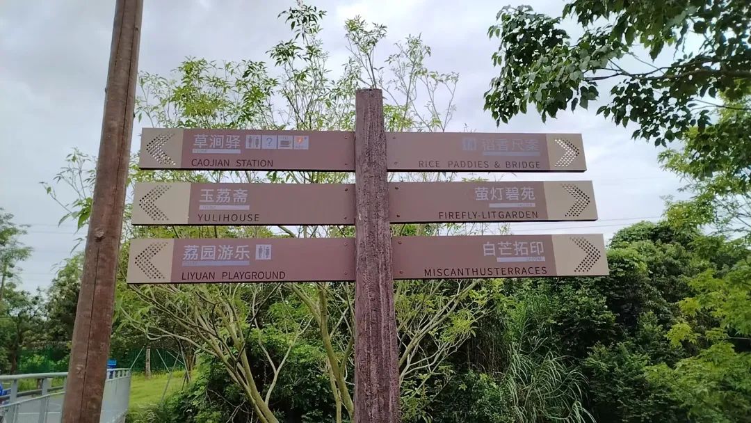 协会活动 | 湖光叠翠绘心迹，步履同行聚真情——记协会西丽湖绿道徒步之旅