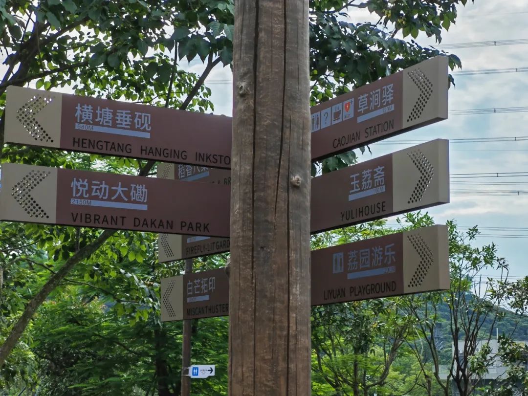 协会活动 | 湖光叠翠绘心迹，步履同行聚真情——记协会西丽湖绿道徒步之旅