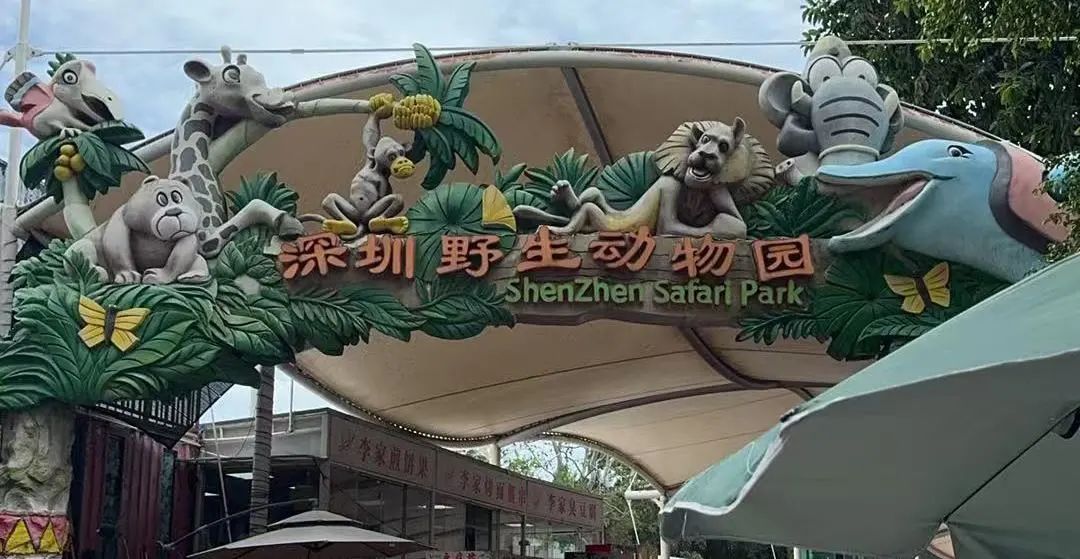 协会活动 | 湖光叠翠绘心迹，步履同行聚真情——记协会西丽湖绿道徒步之旅