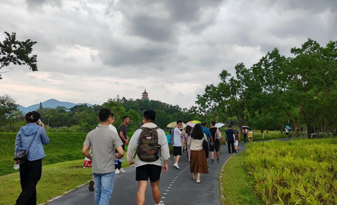 协会活动 | 湖光叠翠绘心迹，步履同行聚真情——记协会西丽湖绿道徒步之旅