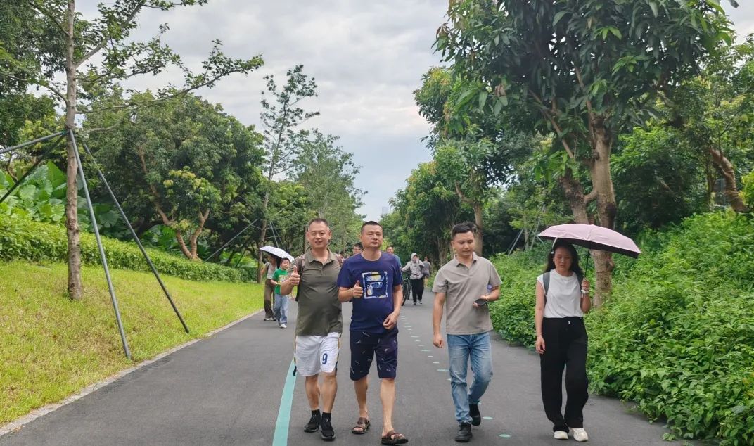 协会活动 | 湖光叠翠绘心迹，步履同行聚真情——记协会西丽湖绿道徒步之旅