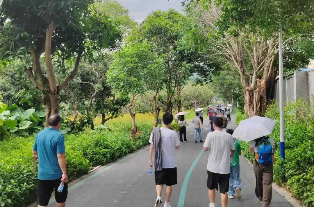 协会活动 | 湖光叠翠绘心迹，步履同行聚真情——记协会西丽湖绿道徒步之旅