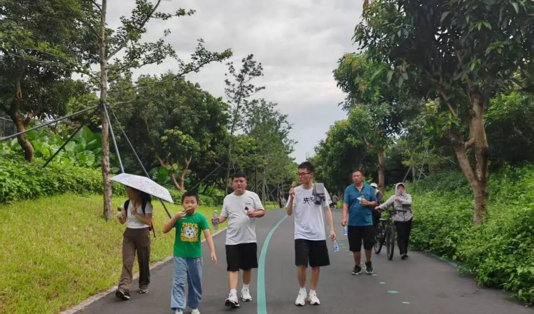 协会活动 | 湖光叠翠绘心迹，步履同行聚真情——记协会西丽湖绿道徒步之旅