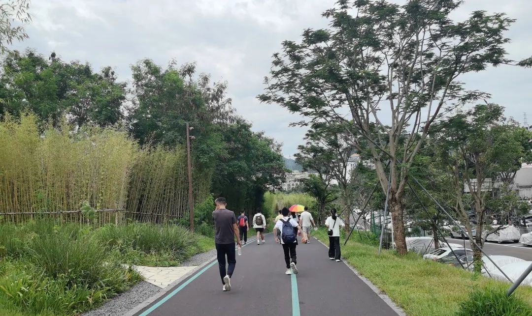 协会活动 | 湖光叠翠绘心迹，步履同行聚真情——记协会西丽湖绿道徒步之旅