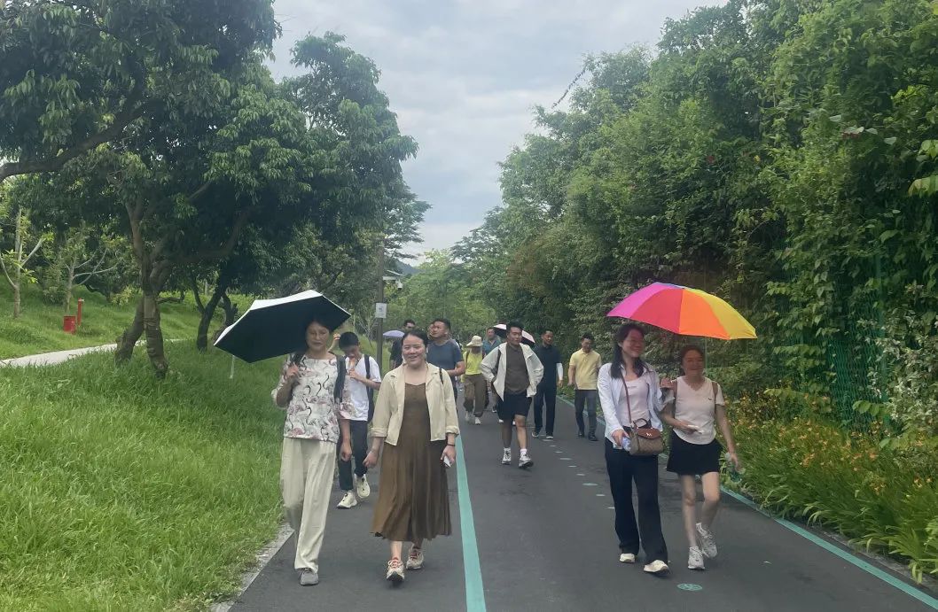 协会活动 | 湖光叠翠绘心迹，步履同行聚真情——记协会西丽湖绿道徒步之旅