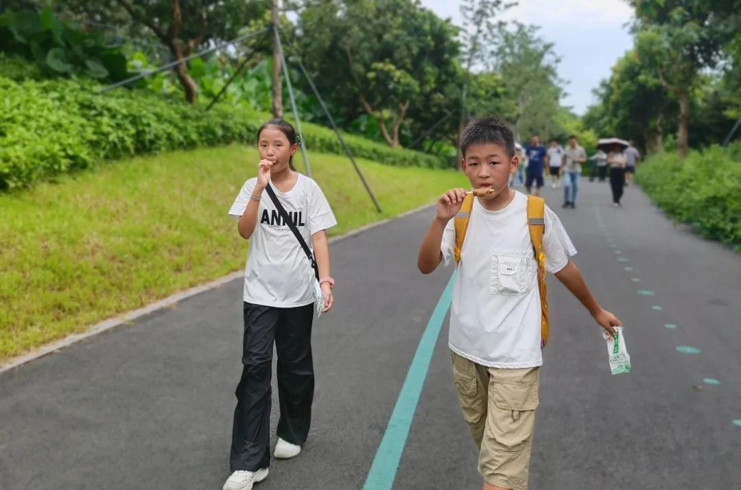 协会活动 | 湖光叠翠绘心迹，步履同行聚真情——记协会西丽湖绿道徒步之旅