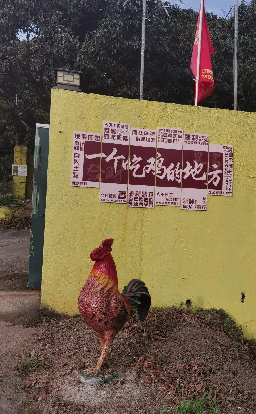 协会活动 | 湖光叠翠绘心迹，步履同行聚真情——记协会西丽湖绿道徒步之旅