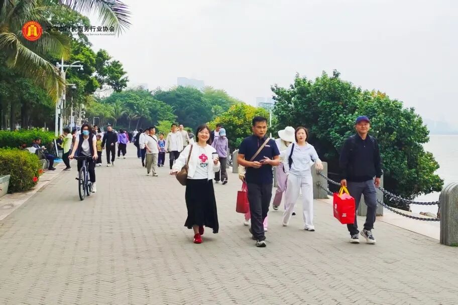 协会活动|共赴春日之约，凝聚行业情谊，深圳湾踏青徒步活动