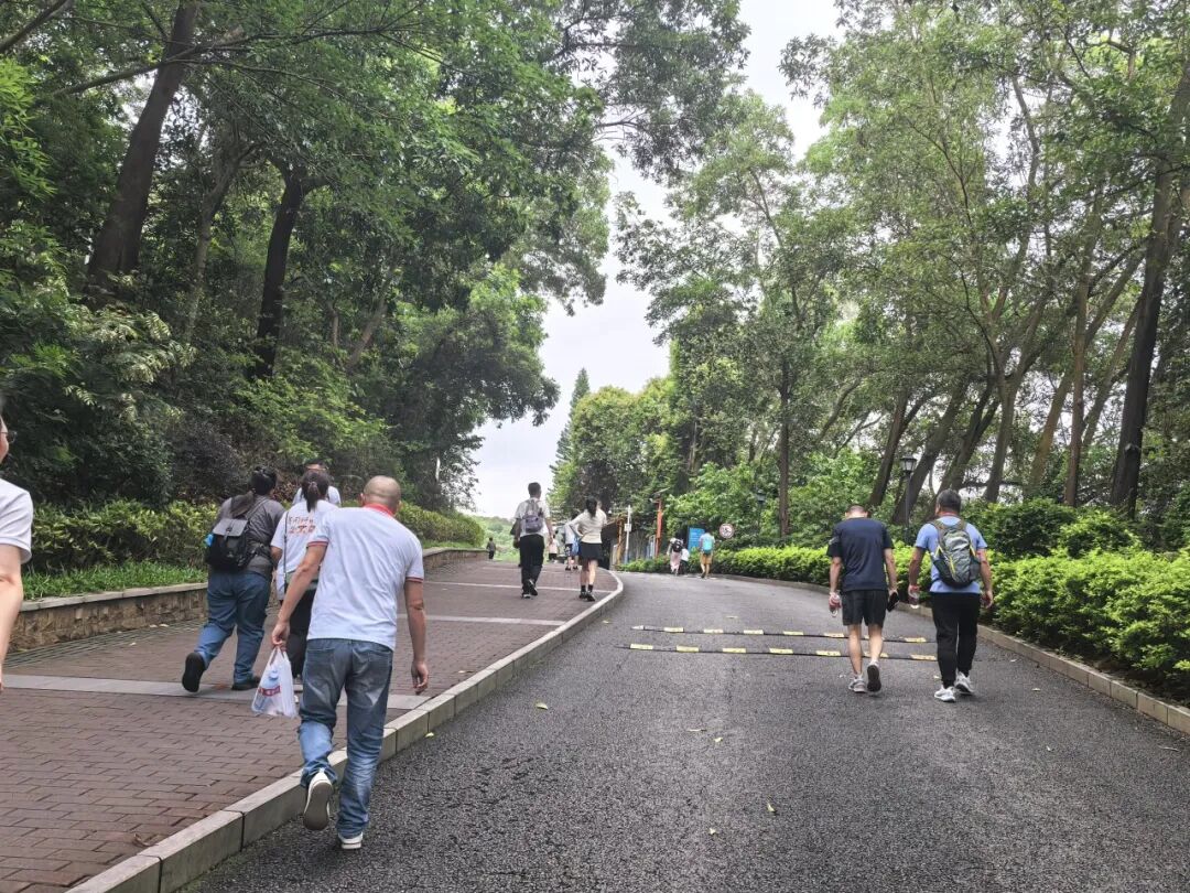 协会动态 | 财税攀登者·共赴阳台之巅;龙华联络会登高挑战赛