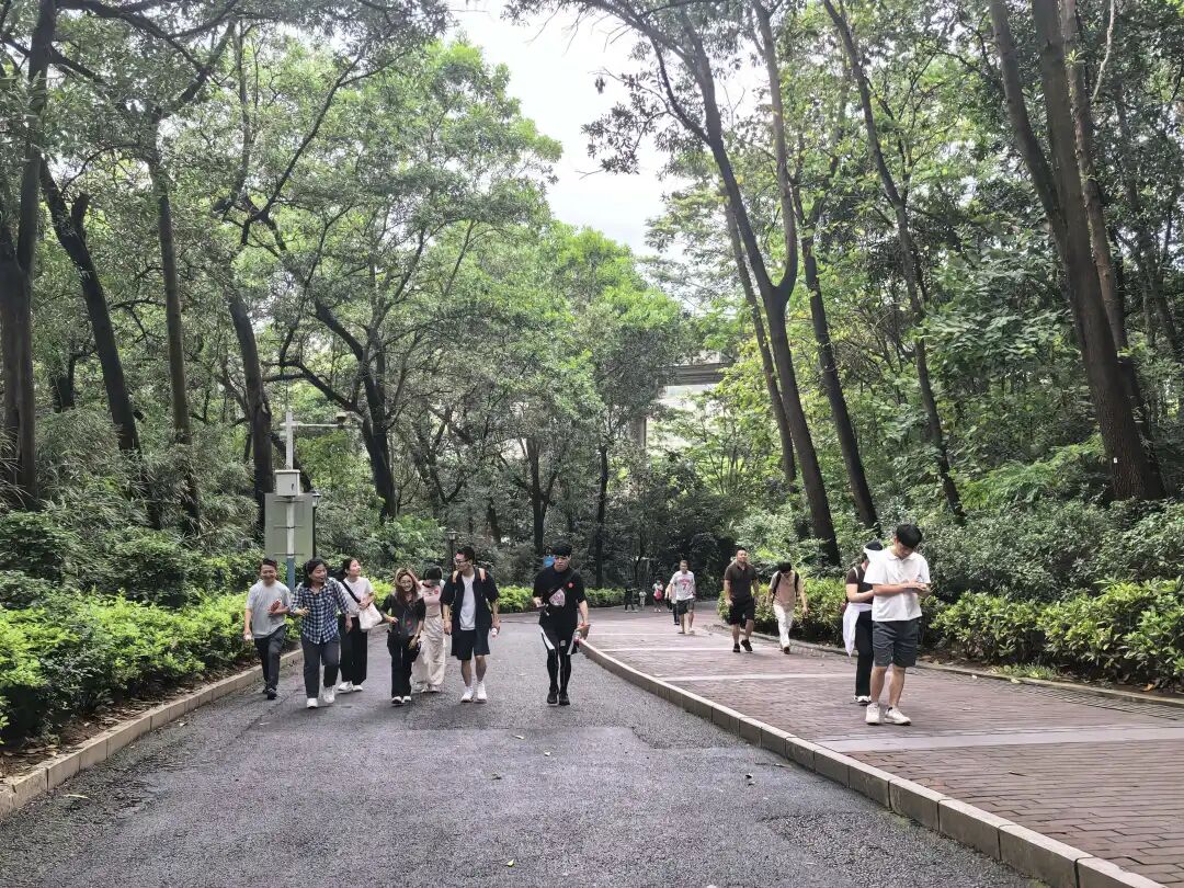 协会动态 | 财税攀登者·共赴阳台之巅;龙华联络会登高挑战赛