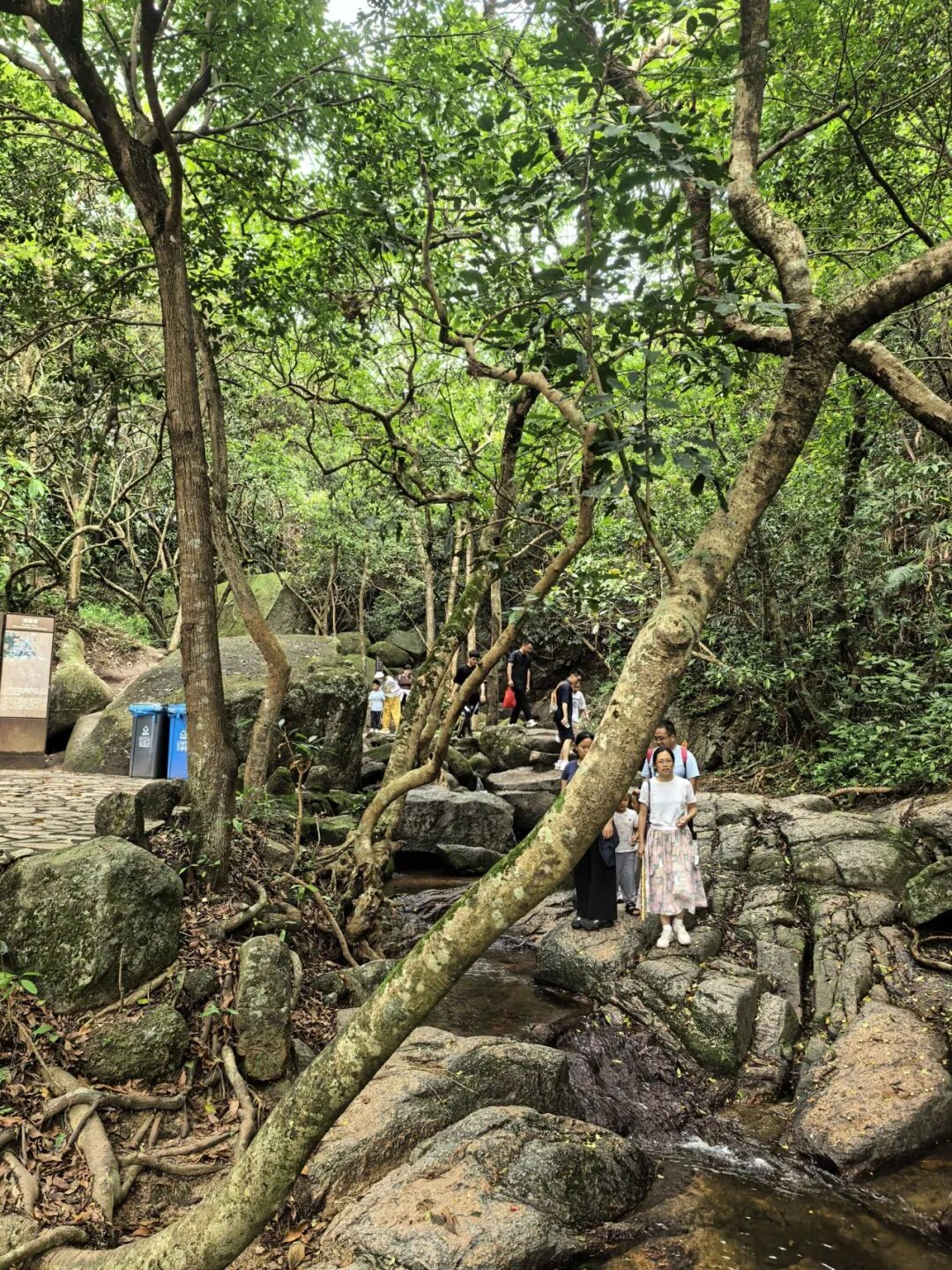 协会动态 | 财税攀登者·共赴阳台之巅;龙华联络会登高挑战赛