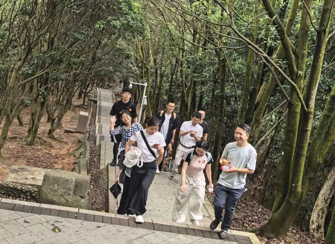 协会动态 | 财税攀登者·共赴阳台之巅;龙华联络会登高挑战赛