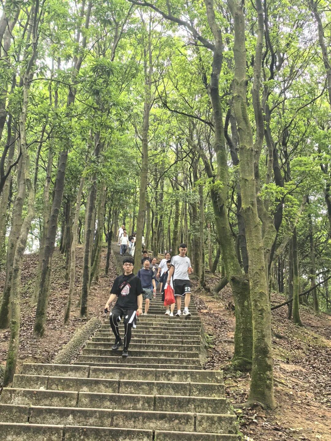 协会动态 | 财税攀登者·共赴阳台之巅;龙华联络会登高挑战赛