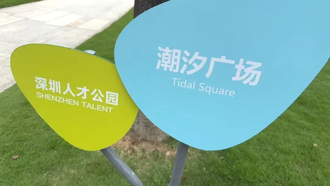 协会动态｜财税攀登者·共赴深圳人才公园,南山联络处健行活动
