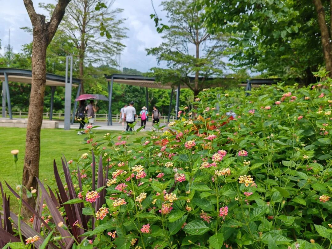 协会动态|踏山寻韵，财税同行