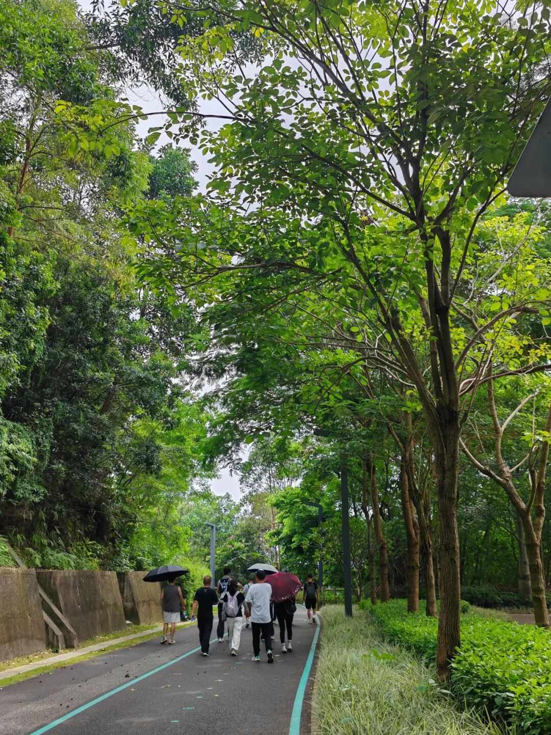 协会动态|踏山寻韵，财税同行
